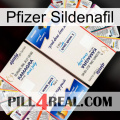 Pfizer Sildenafil kamagra1